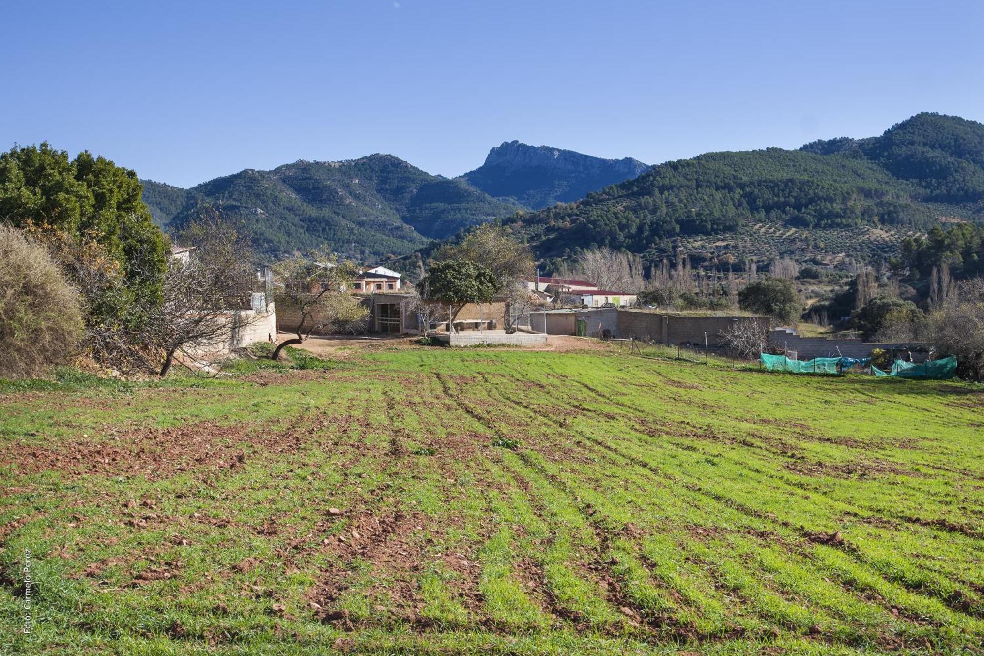 Casa Rural Chache Casto Бьенсервида Экстерьер фото